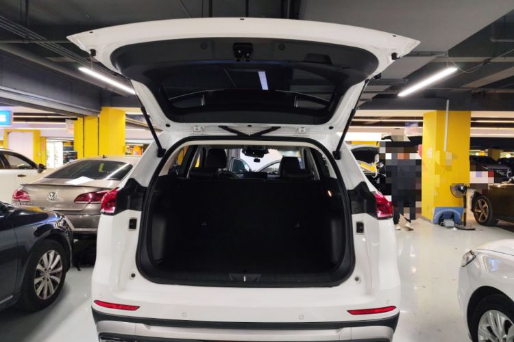 Used Haval H6 2023 National Trend Edition 1.5T Automatic Champion Version