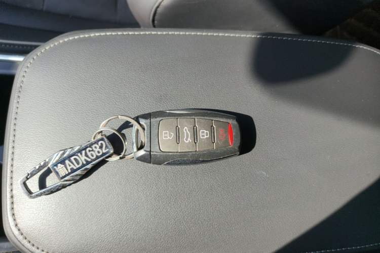 Used Haval H6 2023 National Trend Edition 1.5T Automatic Urban Version Vehicle Key