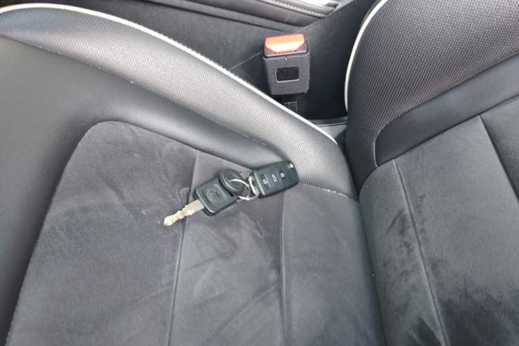 Used Haval H6 2023 National Trend Edition 1.5T Automatic Urban Version Vehicle Key