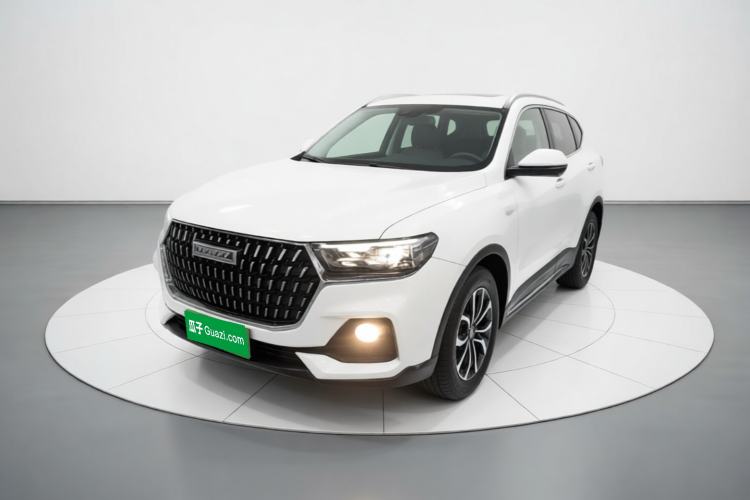 Haval H6 2023 National Trend Edition 1.5T Automatic Urban Version