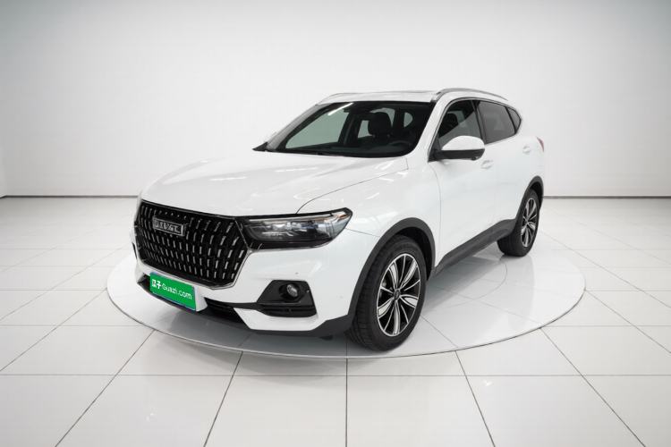 Haval H6 2023 National Trend Edition 1.5T Automatic Champion Version