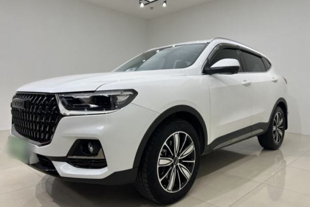 Used Haval H6 2023 National Trend Edition 1.5T Automatic Champion Version