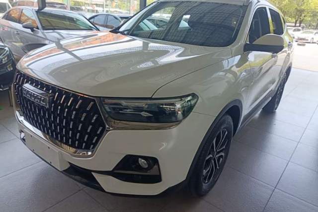 Used Haval H6 2023 National Trend Edition 1.5T Automatic Urban Version