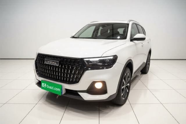Used Haval H6 2023 National Trend Edition 1.5T Automatic Urban Version