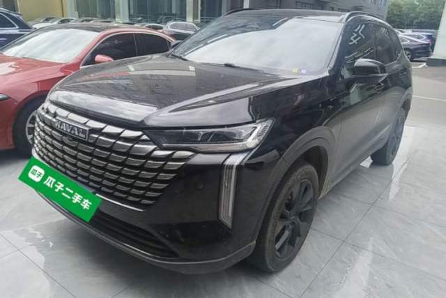 Used Haval H6 2024 1.5T Two-Wheel Drive Max