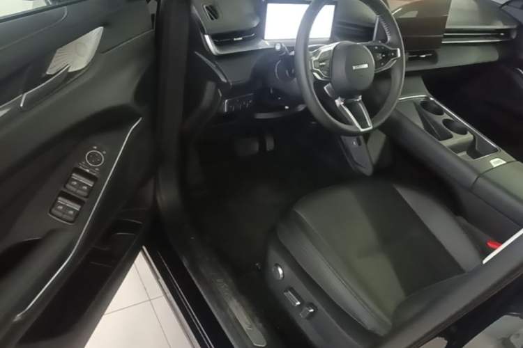 Used Haval H6 2024 1.5T Two-Wheel Drive Ultra Driver Seat