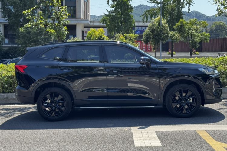 Used Haval H6 2024 1.5T Two-Wheel Drive Max Exterior 2