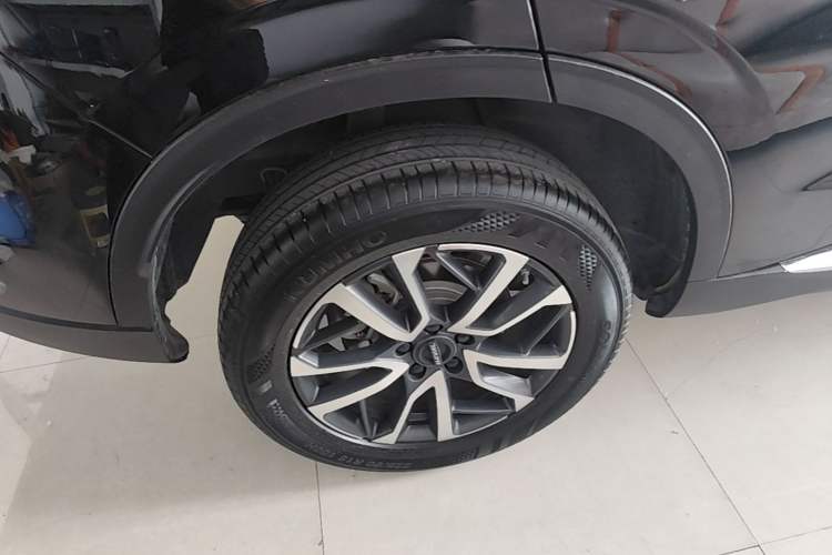 Used Haval H6 2024 1.5T Two-Wheel-Drive Classic Edition Exterior 5