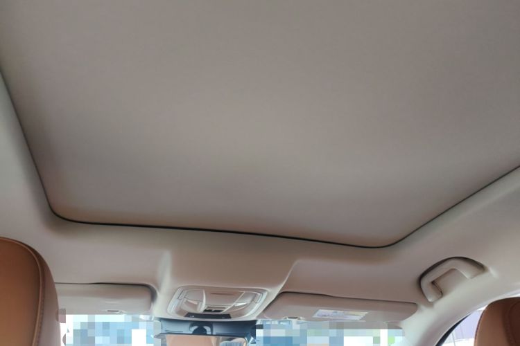 Used Haval H6 2024 1.5T Two-Wheel Drive Max Headliner