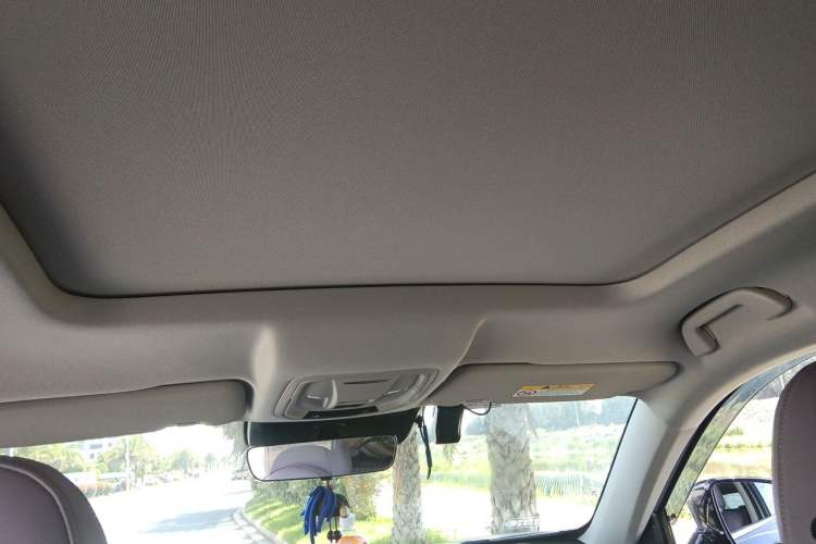 Used Haval H6 2024 1.5T Two-Wheel-Drive Classic Edition Headliner