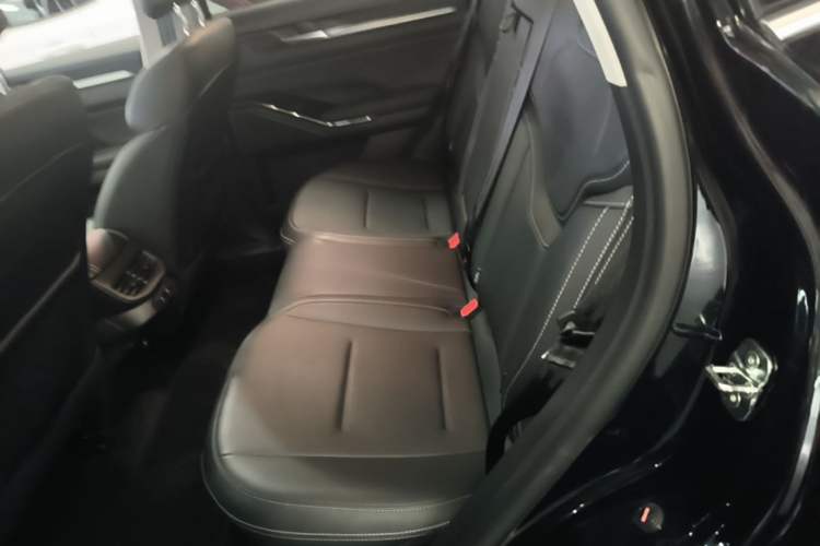 Used Haval H6 2024 1.5T Two-Wheel-Drive Classic Edition Left Rear Seat