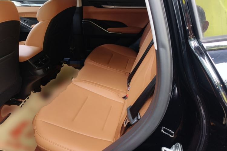 Used Haval H6 2024 1.5T Two-Wheel Drive Max Left Rear Seat