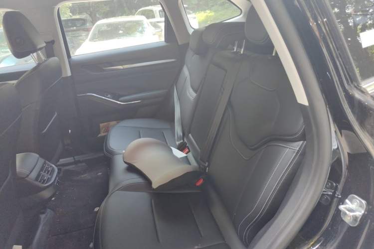 Used Haval H6 2024 1.5T Two-Wheel-Drive Classic Edition Left Rear Seat