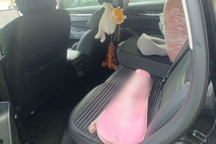 Used Haval H6 2024 1.5T Two-Wheel Drive Max Left Rear Seat