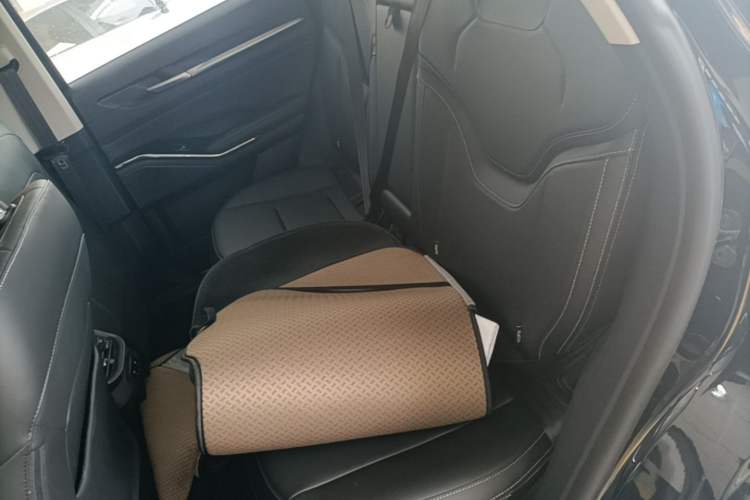 Used Haval H6 2024 1.5T Two-Wheel-Drive Classic Edition Left Rear Seat