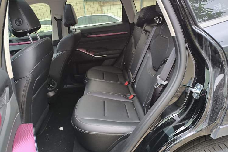 Used Haval H6 2024 1.5T Two-Wheel-Drive Classic Edition Left Rear Seat