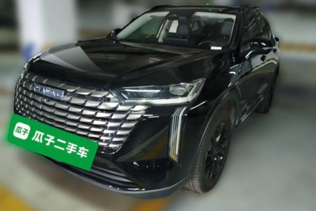 Used Haval H6 2024 2.0T Two-Wheel Drive Max