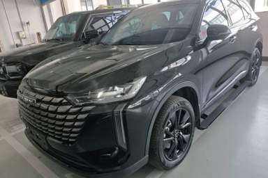 Used Haval H6 2024 1.5T Two-Wheel Drive Max
