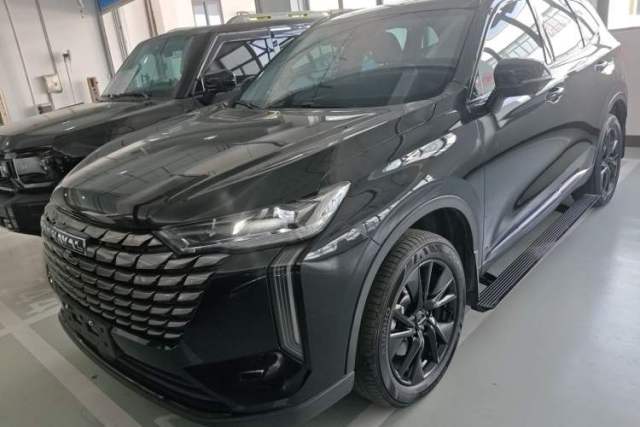 Used Haval H6 2024 1.5T Two-Wheel Drive Max