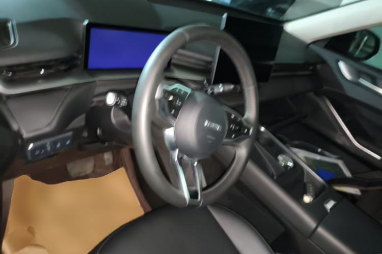 Used Haval H6 2024 2.0T Two-Wheel Drive Max Steering Wheel