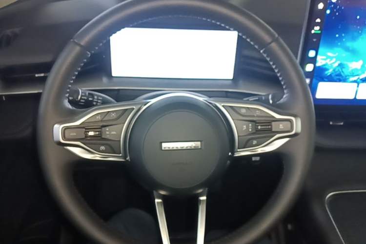 Used Haval H6 2024 1.5T Two-Wheel Drive Ultra Steering Wheel