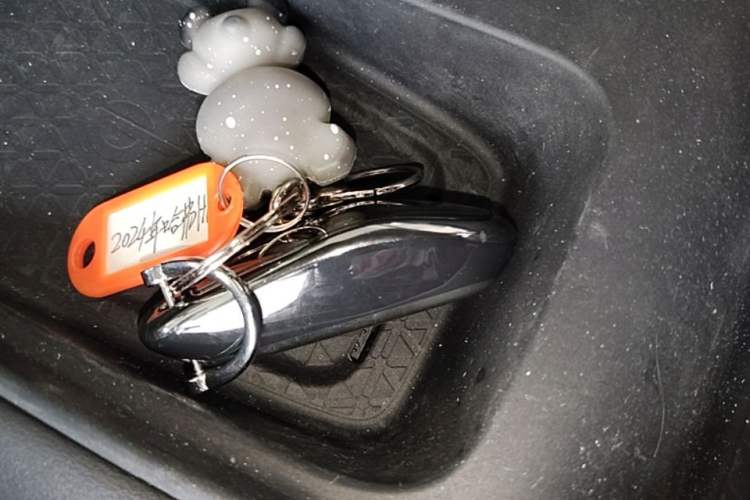 Used Haval H6 2024 1.5T Two-Wheel Drive Ultra Vehicle Key