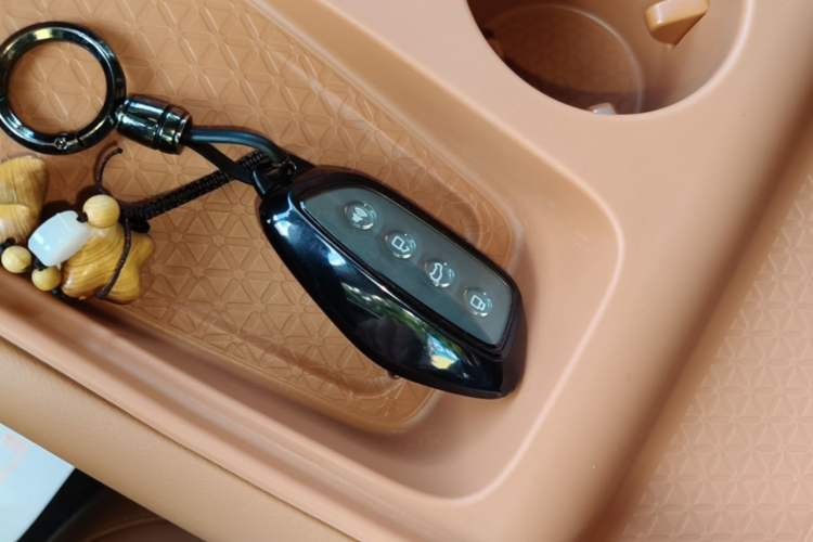 Used Haval H6 2024 1.5T Two-Wheel Drive Max Vehicle Key