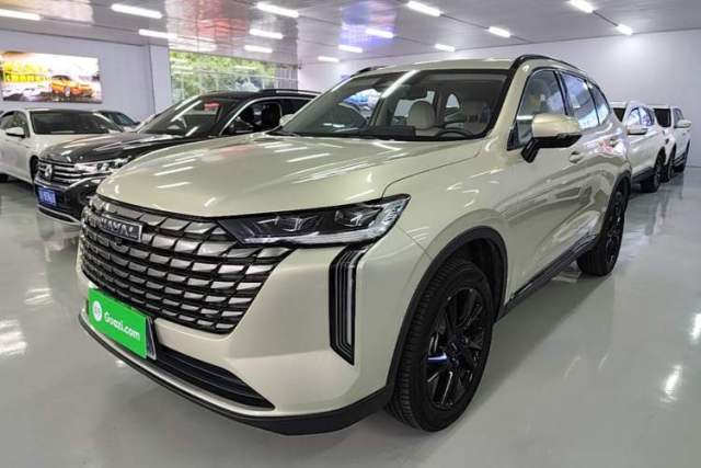 Used Haval H6 2024 1.5T Two-Wheel Drive Ultra