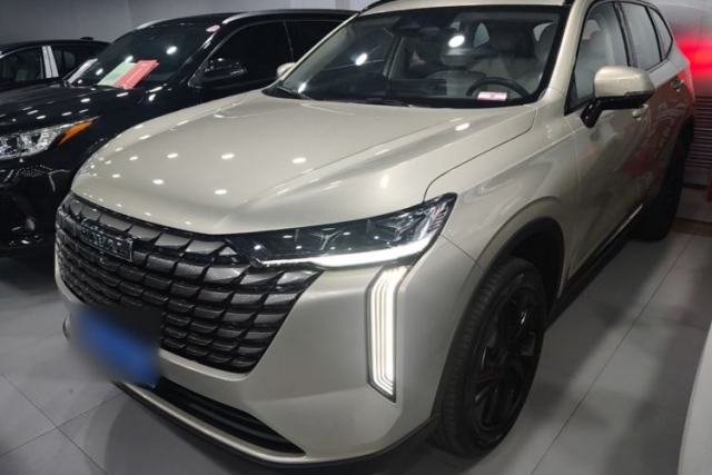 Used Haval H6 2024 1.5T Two-Wheel Drive Ultra