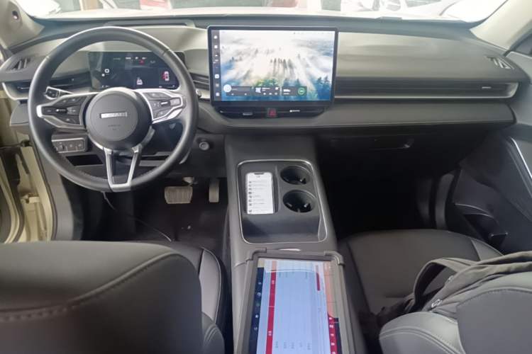 Used Haval H6 2024 1.5T Two-Wheel Drive Ultra Center Console