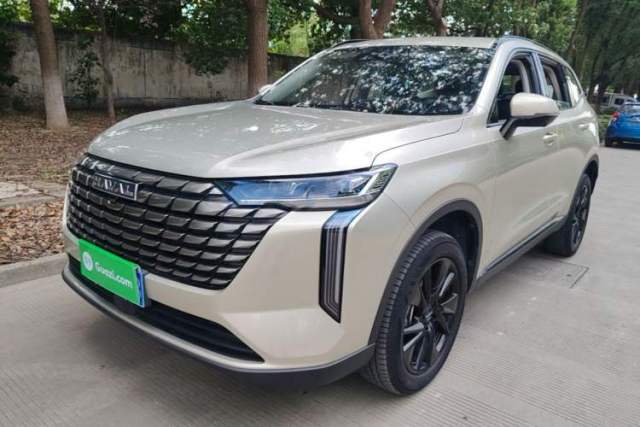 Used Haval H6 2024 1.5T Two-Wheel Drive Ultra