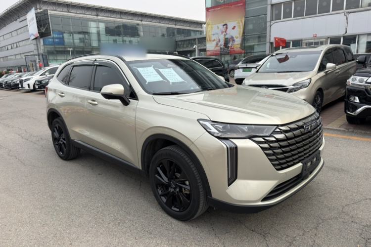 Used Haval H6 2024 2.0T All-Wheel Drive Max Exterior 1