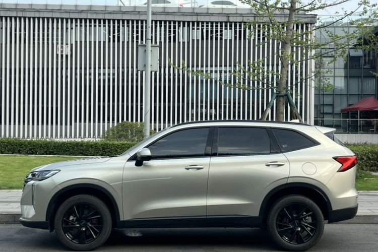 Used Haval H6 2024 1.5T Two-Wheel Drive Ultra Exterior 2