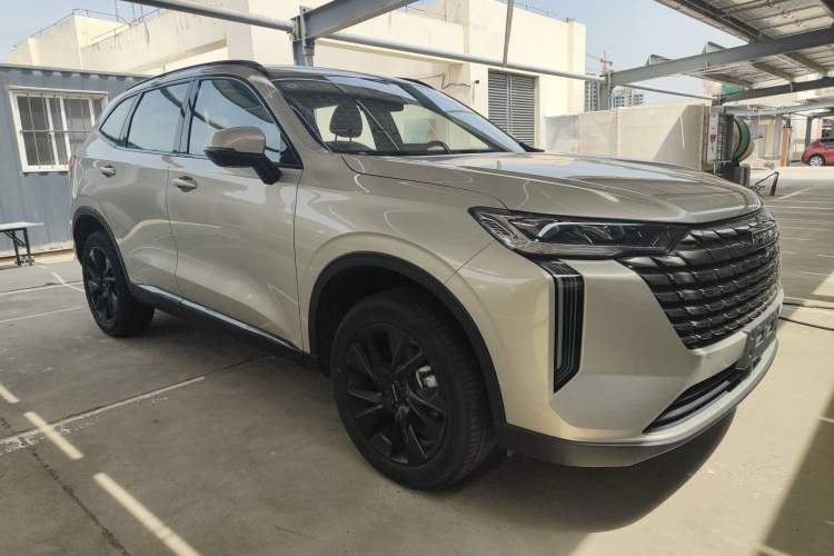 Used Haval H6 2024 1.5T Two-Wheel Drive Ultra Exterior 2