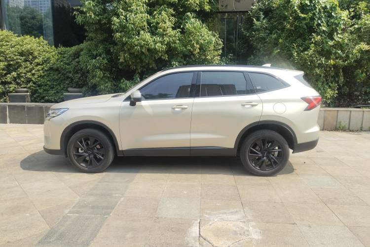 Used Haval H6 2024 1.5T Two-Wheel Drive Ultra Exterior 2