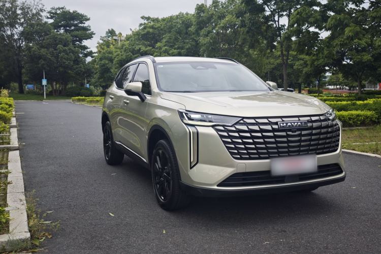 Used Haval H6 2024 1.5T Two-Wheel Drive Ultra Exterior 2