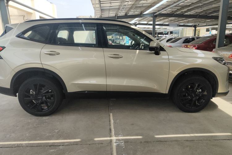 Used Haval H6 2024 1.5T Two-Wheel Drive Ultra Exterior 3
