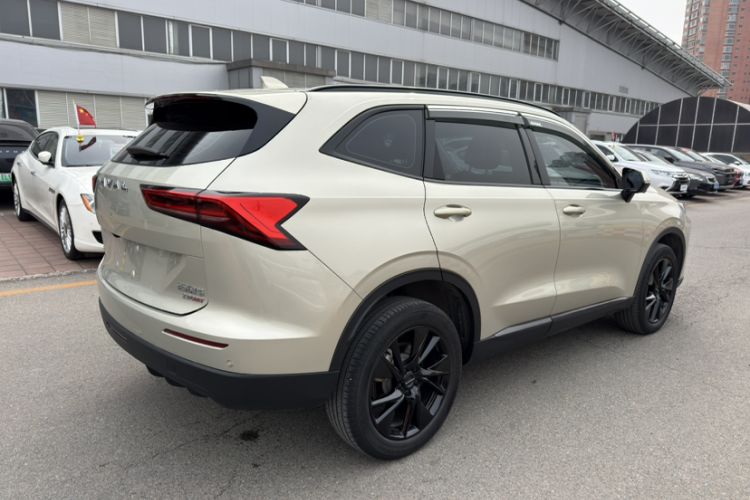 Used Haval H6 2024 2.0T All-Wheel Drive Max Exterior 3