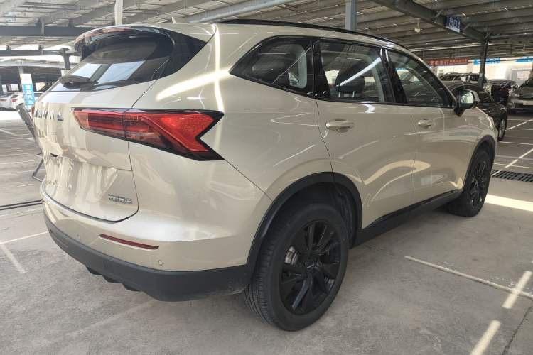 Used Haval H6 2024 1.5T Two-Wheel Drive Ultra Exterior 4