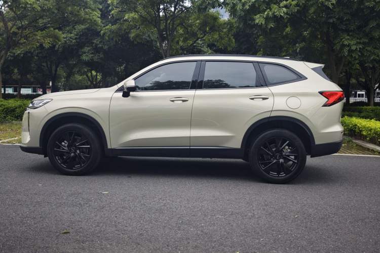 Used Haval H6 2024 1.5T Two-Wheel Drive Ultra Exterior 5