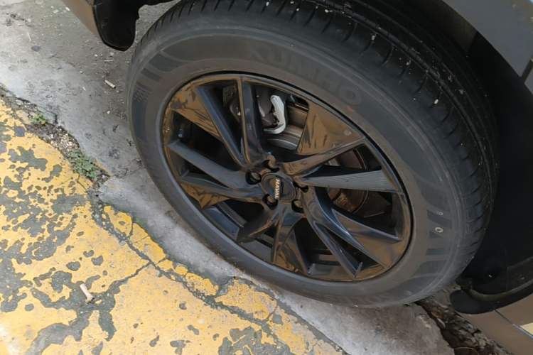 Used Haval H6 2024 1.5T Two-Wheel Drive Ultra Exterior 5