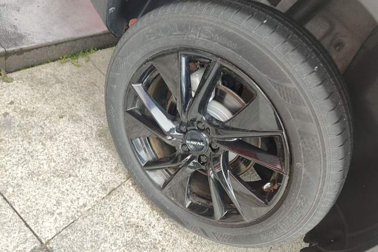 Used Haval H6 2024 1.5T Two-Wheel Drive Ultra Exterior 5