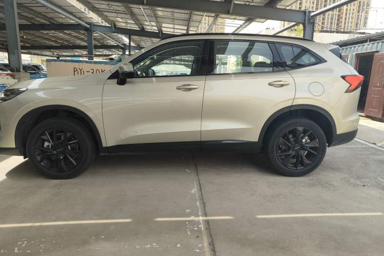 Used Haval H6 2024 1.5T Two-Wheel Drive Ultra Exterior 6