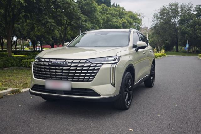 Used Haval H6 2024 1.5T Two-Wheel Drive Ultra