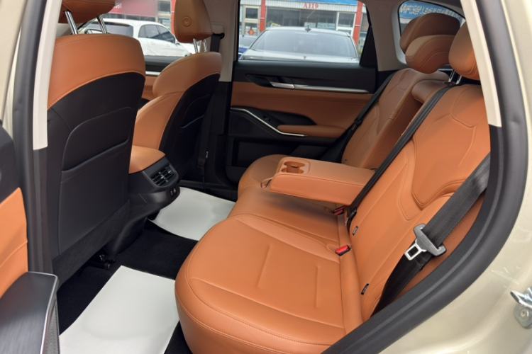 Used Haval H6 2024 2.0T All-Wheel Drive Max Interior 3