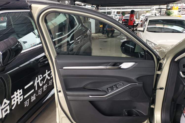 Used Haval H6 2024 1.5T Two-Wheel Drive Ultra Left Front Door Interior