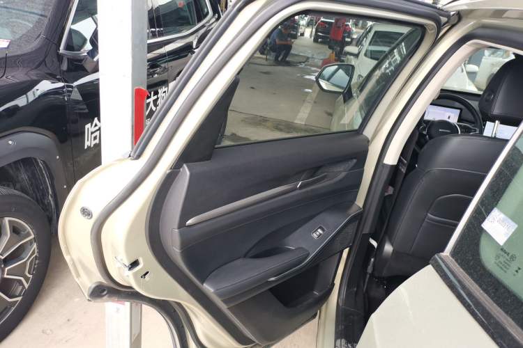 Used Haval H6 2024 1.5T Two-Wheel Drive Ultra Left Rear Door Interior