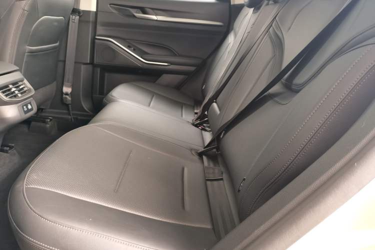 Used Haval H6 2024 1.5T Two-Wheel Drive Ultra Left Rear Seat