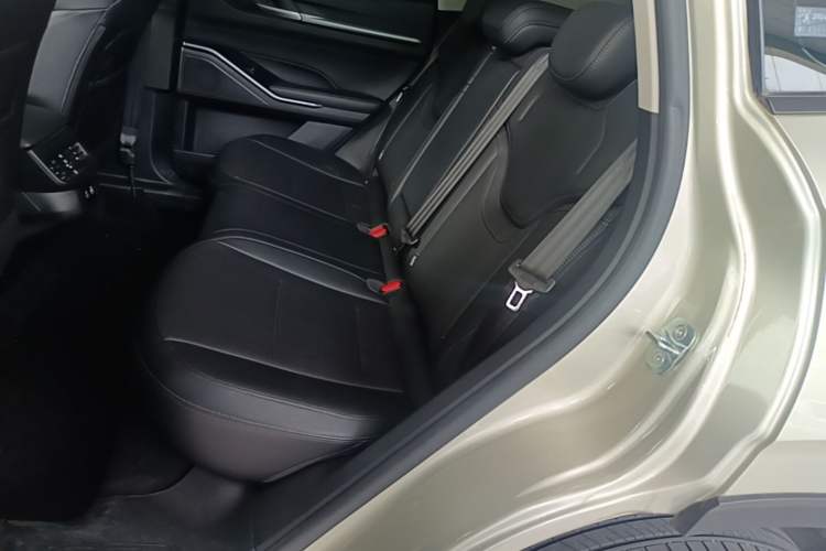 Used Haval H6 2024 1.5T Two-Wheel Drive Ultra Left Rear Seat
