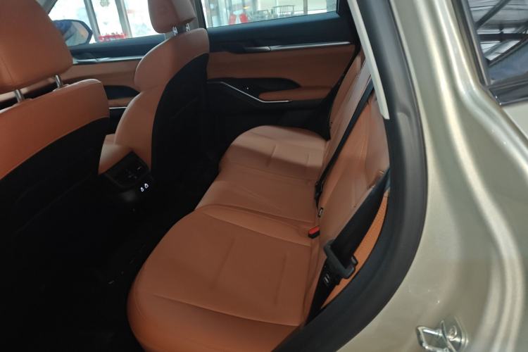 Used Haval H6 2024 1.5T Two-Wheel Drive Max Left Rear Seat